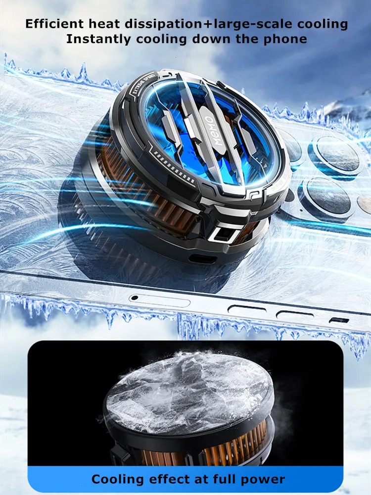 Screenshot 2024-08-12 173030.webp